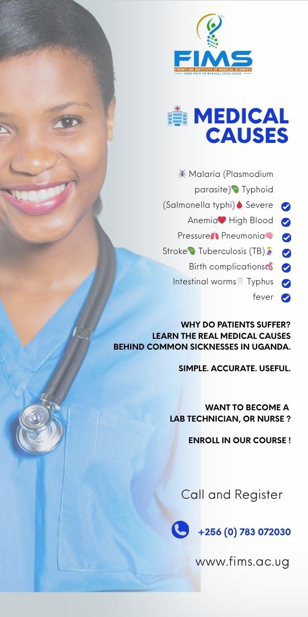 Study at FIMS - Faculty of Information and Media Studies